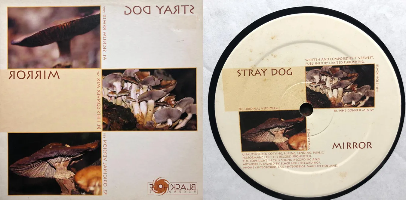 Stray Dog – Mirror